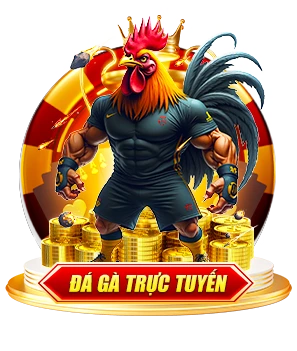 Đá gà trực tuyến