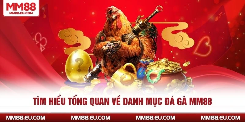 Tìm hiểu tổng quan về danh mục đá gà MM88
