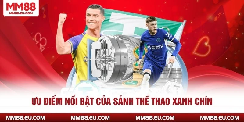 Ưu điểm nổi bật của sảnh thể thao xanh chín